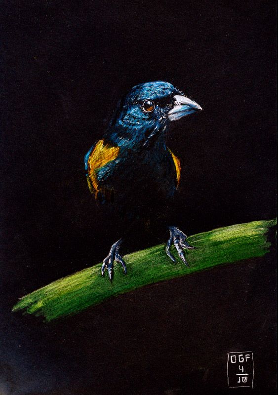 563x800 drawing on black paper my first draw in black paper - Drawing On Black Paper