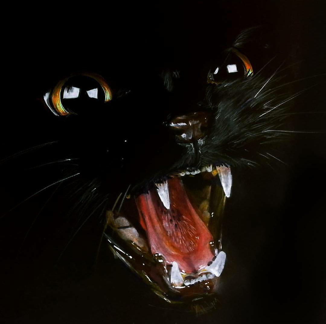 1080x1074 Art Blog - Drawing On Black Paper