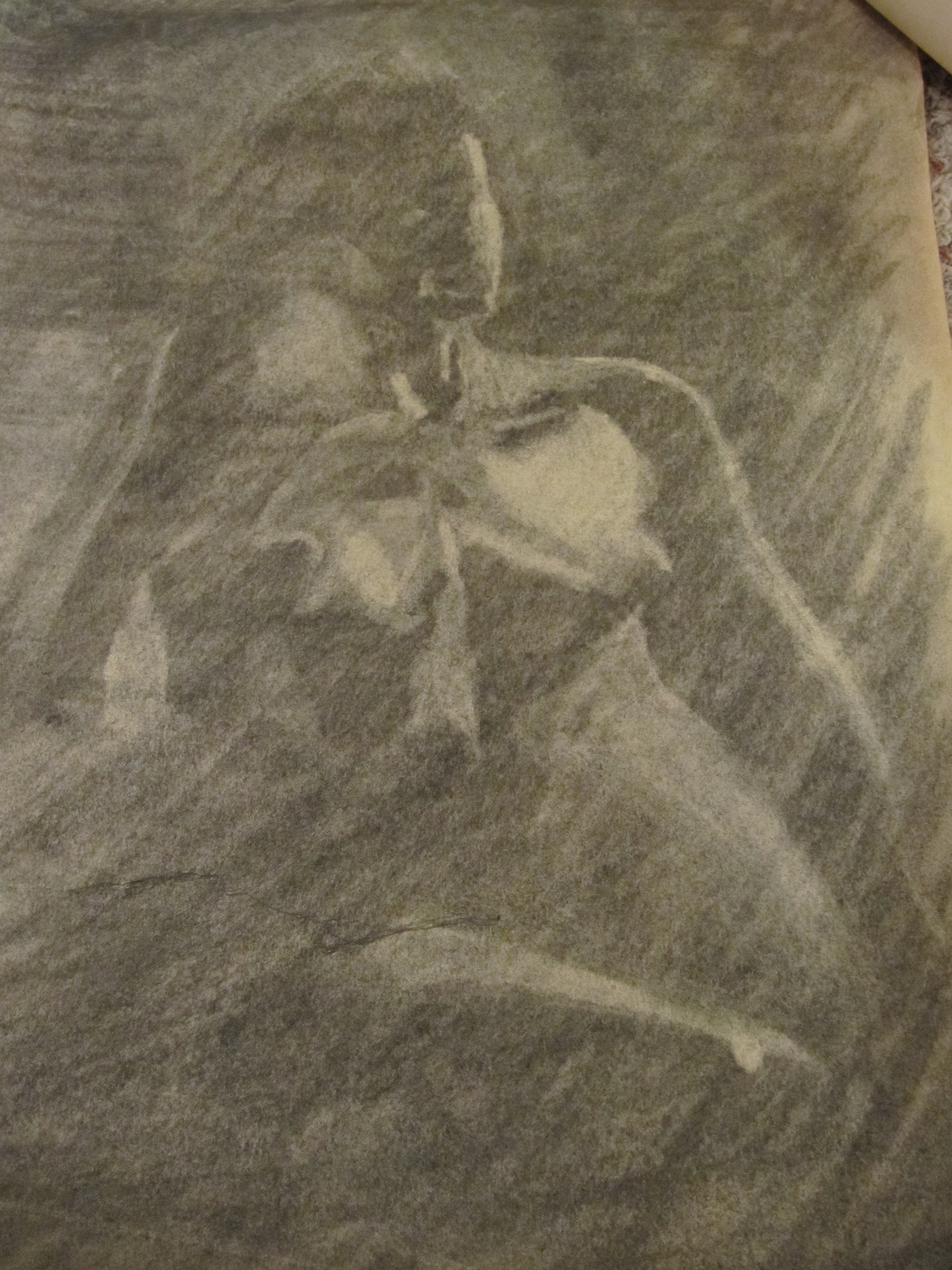 3000x4000 Untitled Life Drawing - Drawing On Newsprint