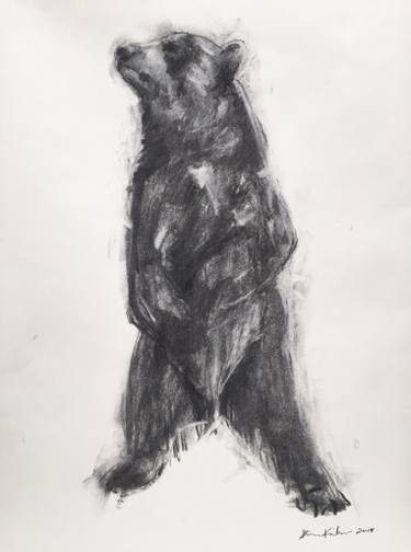 375x504 Charcoal Bear - Drawing On Newsprint