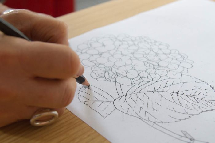 700x467 Botanical Art Why Drawing Plants And Flowers Is Back In Fashion - Drawing On Paper