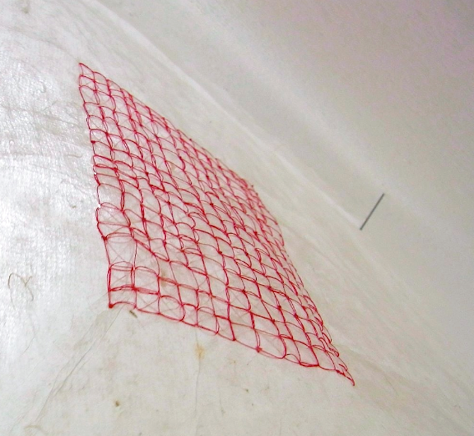 670x617 Drawing With Thread On Rice Paper - Drawing On Rice Paper