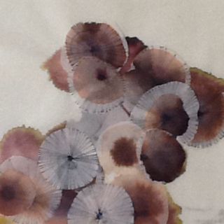 320x320 Ink Drawing On Rice Paper Ricepaper Illustration Art, Drawings - Drawing On Rice Paper