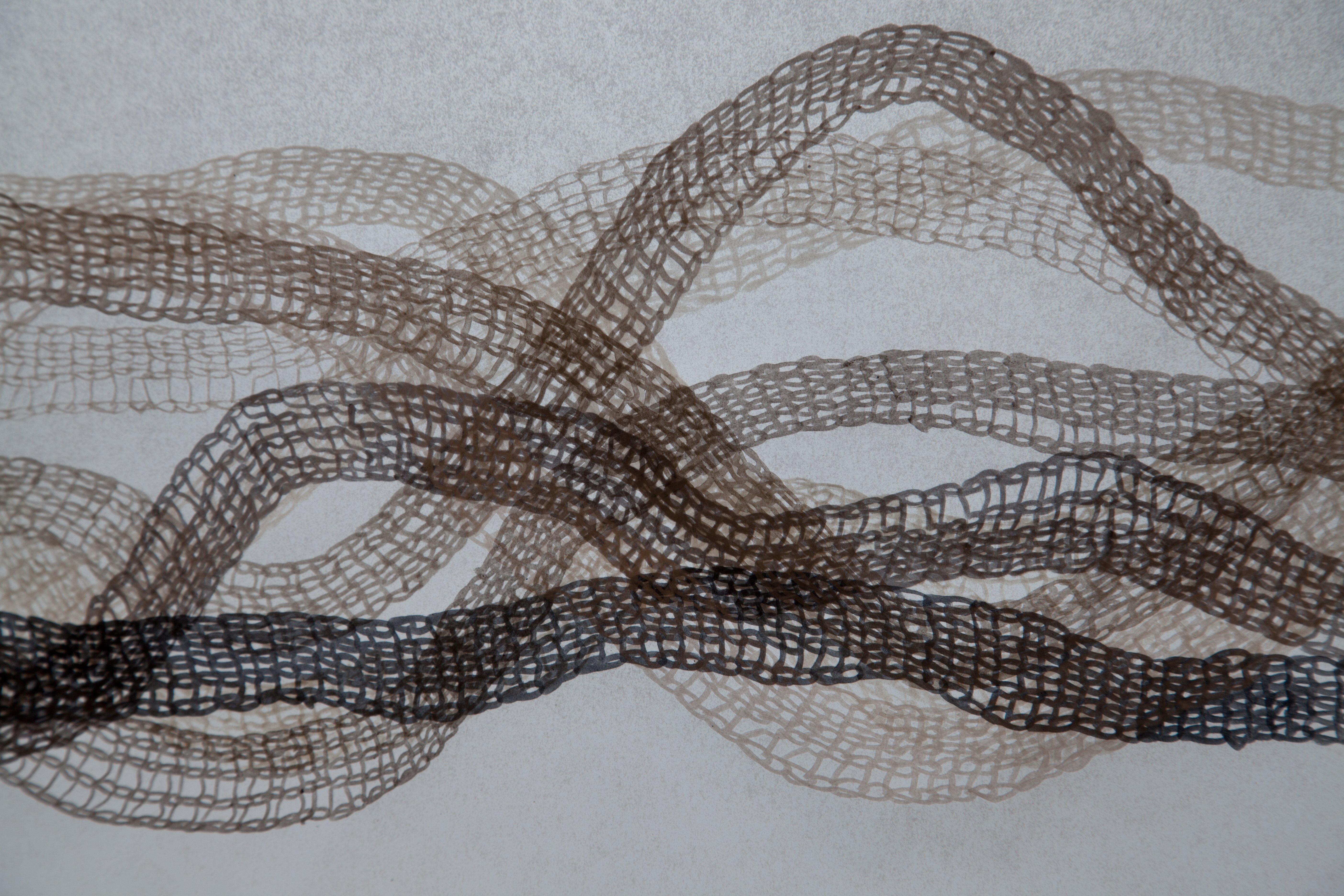 5616x3744 Drawing On Vellum Sarah Sepe - Drawing On Vellum