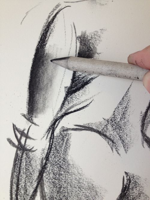 500x667 everything you need to know about drawing with charcoal drawing - Drawing On Webpage