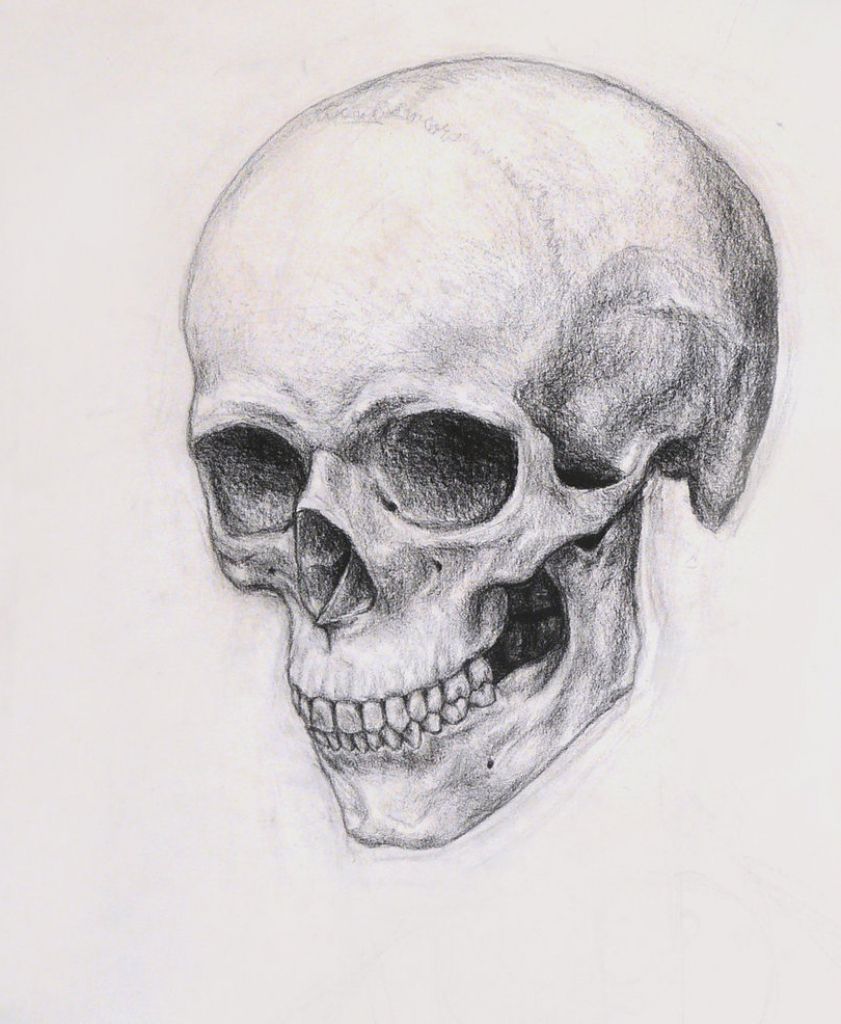 841x1024 Realistic Skull Drawing Realistic Skull Drawing How To Draw - Drawing Online