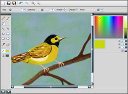 250x184  - Drawing Online