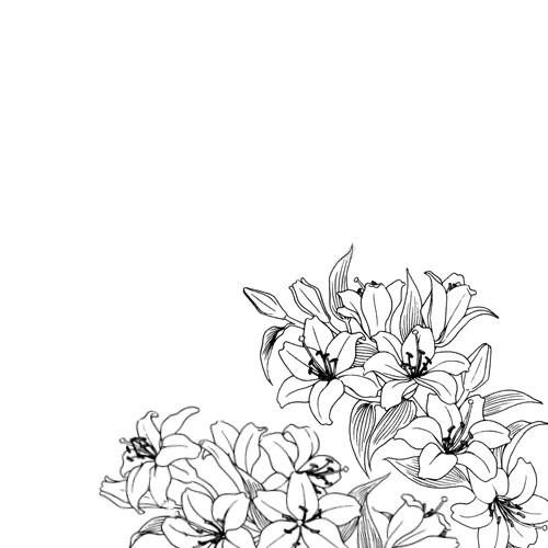 500x500 Flower Overlay Manga Art Overlays In Drawings, Manga Art - Drawing Overlay