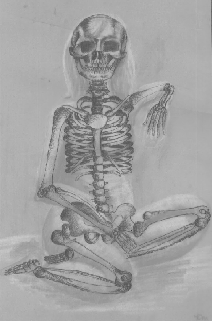690x1042 Life Drawing And Skeletal Overlay - Drawing Overlay