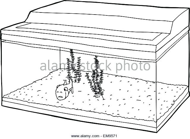 640x468 Kids Drawing Of Fish Tank Coloring - Drawing Page Online