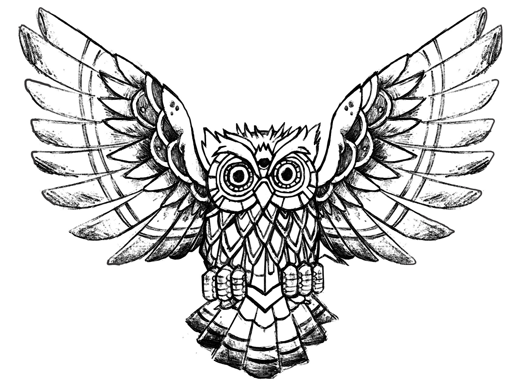 1700x1285 Owl Raw Drawing - Drawing Pages