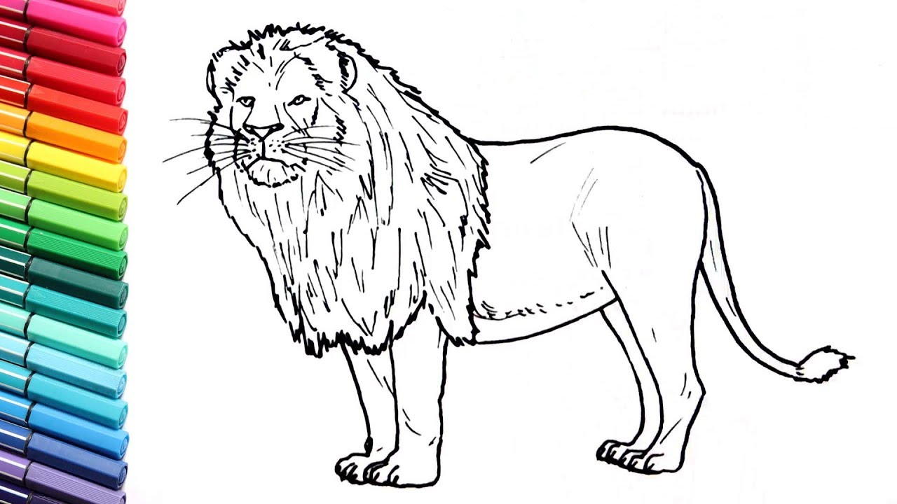 1280x720 How To Draw A Lion - Drawing Pages Of Animals