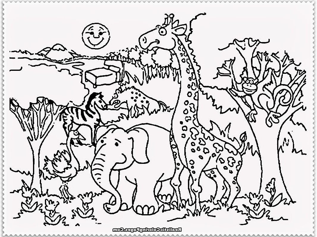 1066x800 Imposing Zoooloring Pages Realistic Animal Phonics Sheets - Drawing Pages Of Animals