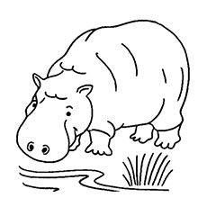 230x230 Top Free Printable Wild Animals Coloring Pages Online - Drawing Pages Of Animals