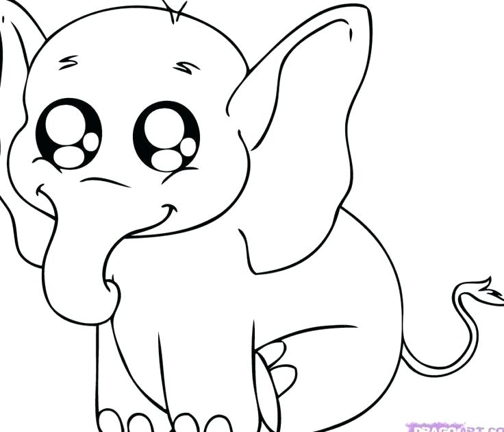 736x630 Coloring For Kids Animals Animal Drawings The Best E Ideas - Drawing Pages Of Animals