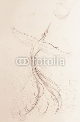 263x400 uprising phoenix bird flying up, drawing on white paper background - Drawing Paper Background