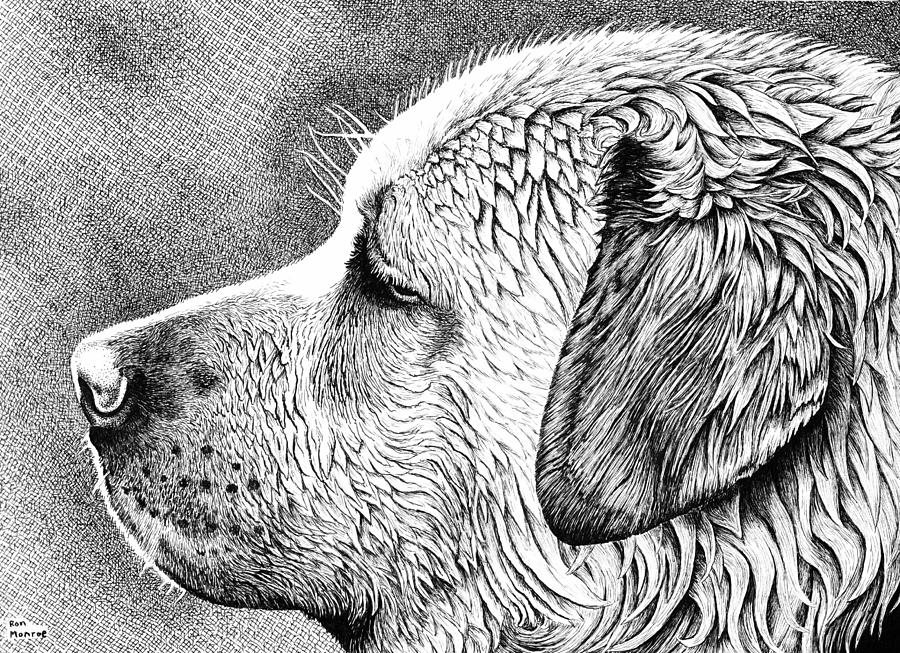 900x653 wet in art pen drawing - Drawing Pen Art