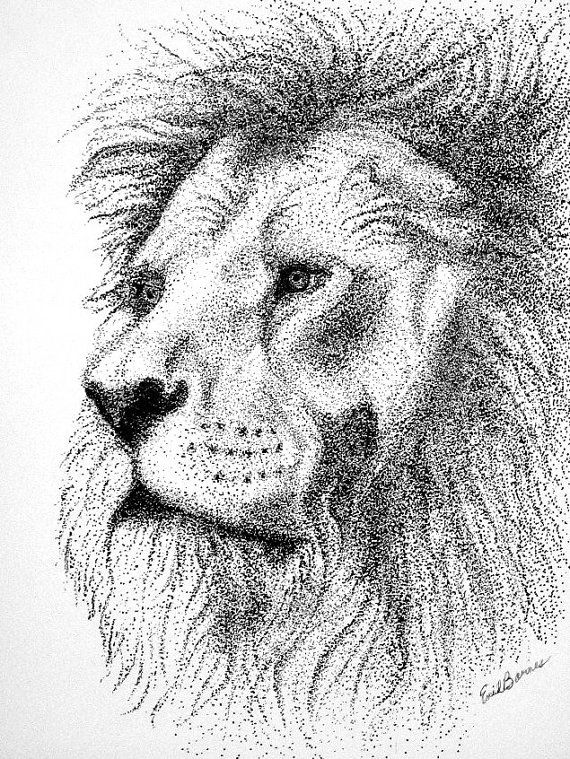 570x759 original lion pointillism pen and ink drawing - Drawing Pen Drawing