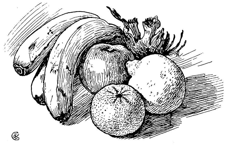 900x578 Pen Drawing Of Fruit Drawing - Drawing Pen Drawing