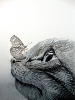 240x320 Life Is Like A Butterfly Pencil Drawing - Drawing Pencil Drawing