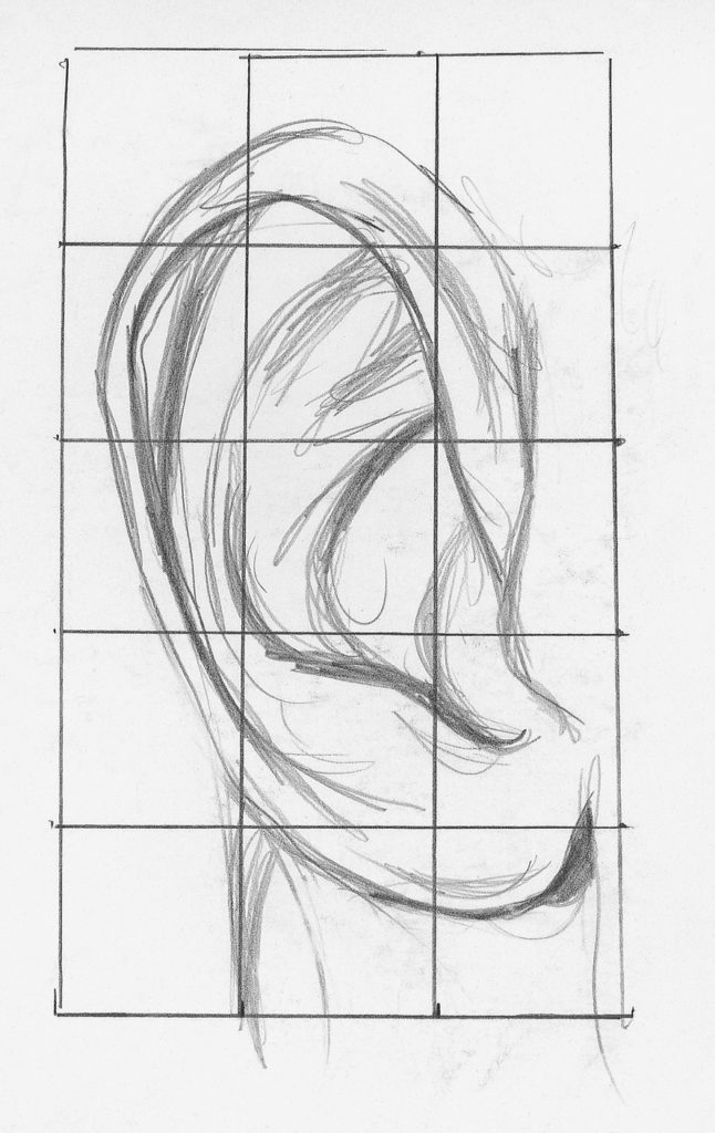 646x1024 Draw Facial Features With This In Depth Beginner's Guide - Drawing Pic