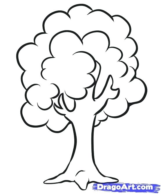 555x669 Tree Drawing For Kid How To Draw A Simple Tree Step - Drawing Pictures For Kids