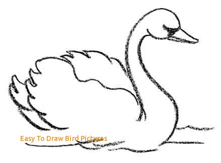 439x325 Easy To Draw Bird Pictures How To Draw Birds - Drawing Pictures Of Birds