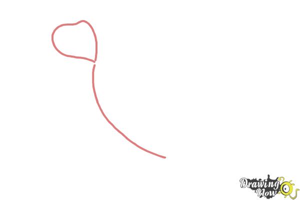 600x400 How To Draw Flowers Step - Drawing Pictures Of Flowers Step By Step