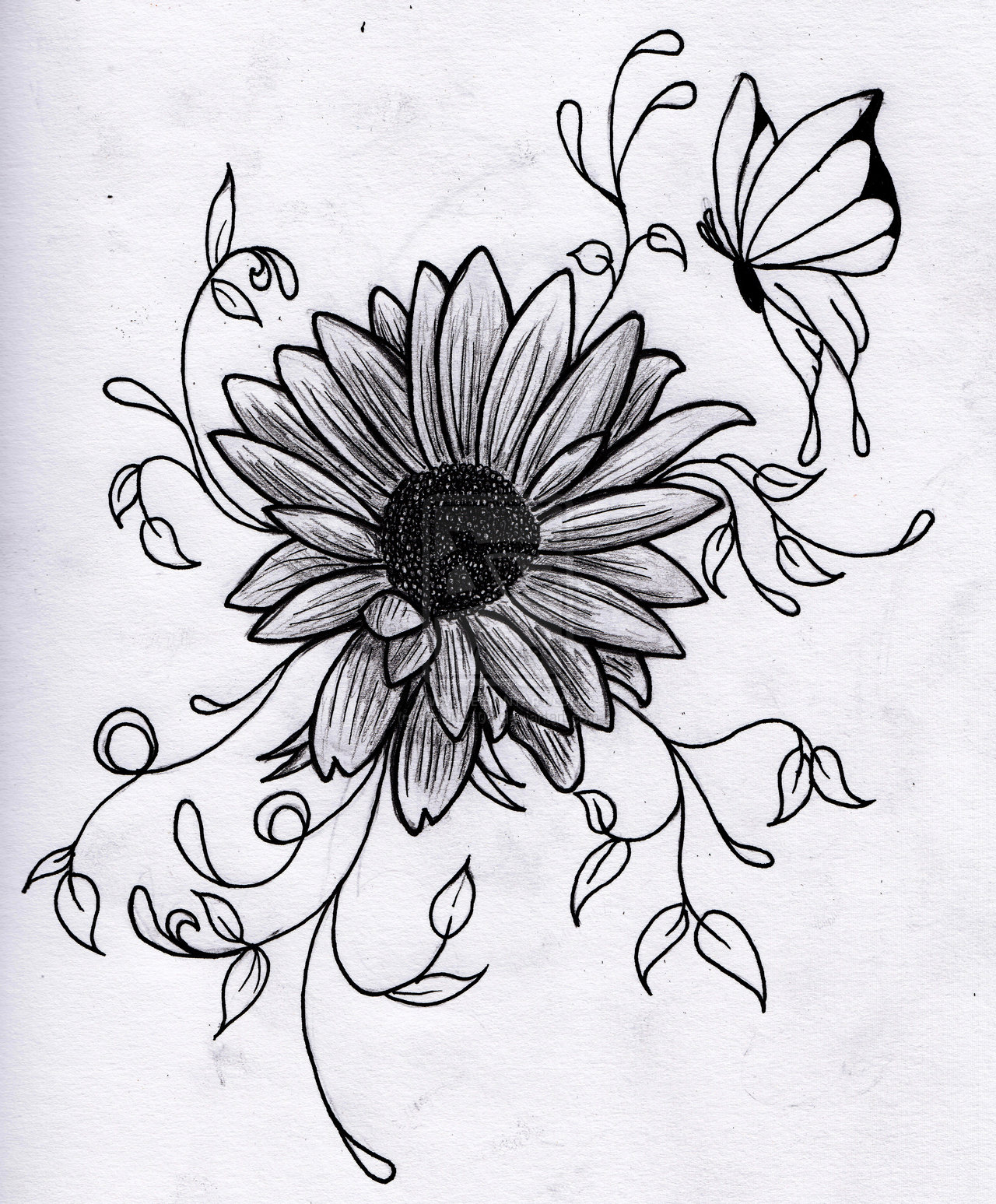 1280x1547 Drawings Of A Flower - Drawing Pictures Of Flowers That Are Easy