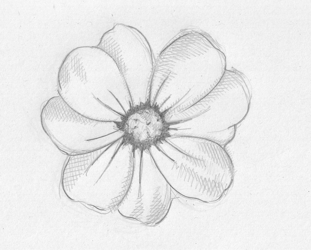 Drawing Pictures Of Flowers That Are Easy at