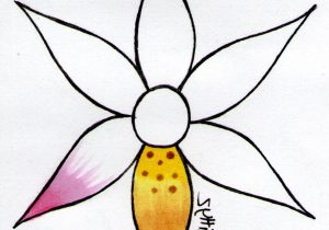 300x210 Easy Drawing Pictures Of Flowers Simple Flower - Drawing Pictures Of Flowers That Are Easy