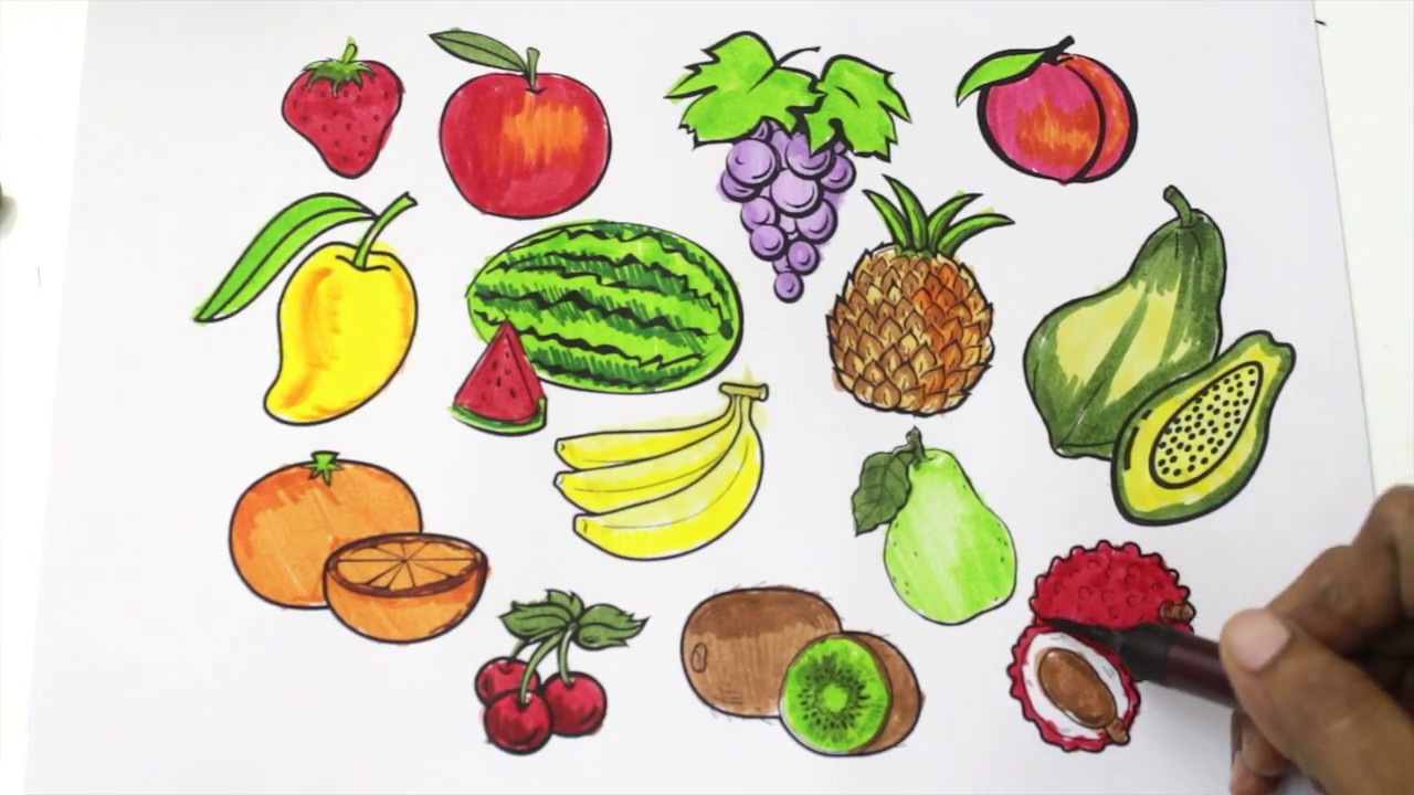 Download Drawing Pictures Of Fruits And Vegetables at ...