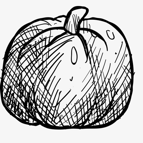 500x500 pencil drawing,fruits and vegetables,vegetables,sketch,black - Drawing Pictures Of Fruits And Vegetables