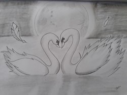 250x188 swan love pencil drawing and friends members portrait service - Drawing Pictures Of Love