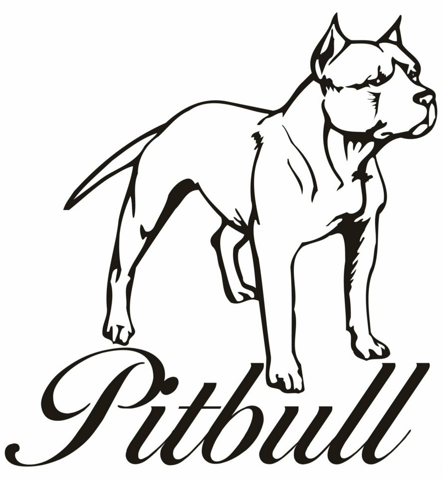 Drawing Pictures Of Pitbulls