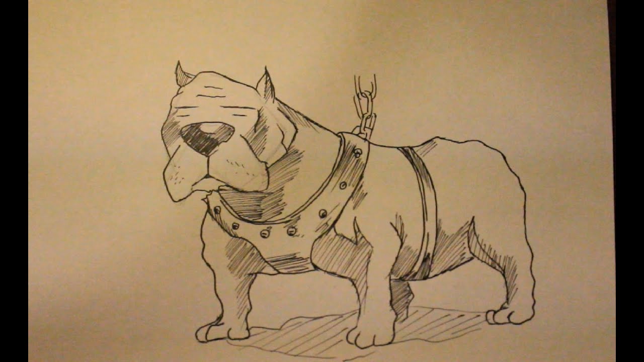 1280x720 How To Draw Pitbull Dogstep - Drawing Pictures Of Pitbulls