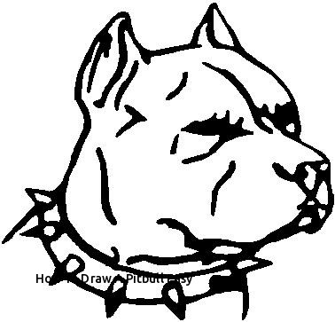 378x363 How To Draw A Pitbull Easy Collection Of Pitbull Dog Face - Drawing Pictures Of Pitbulls
