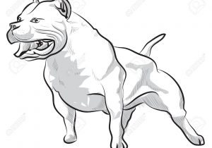 300x210 American Pitbull Drawings American Pit Bull Terrier Decal Sticker - Drawing Pictures Of Pitbulls