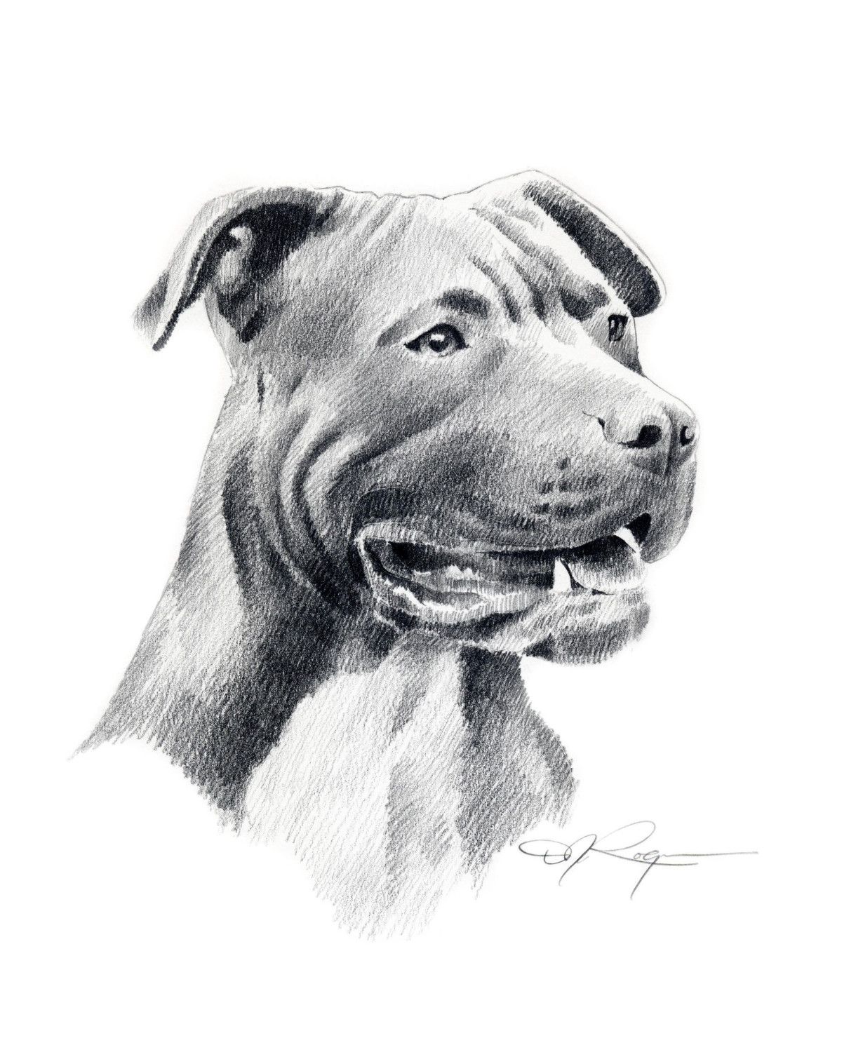 1220x1500 Dog Drawing Pitbull Art Drawings, Face Pencil Drawing, Pitbulls - Drawing Pictures Of Pitbulls