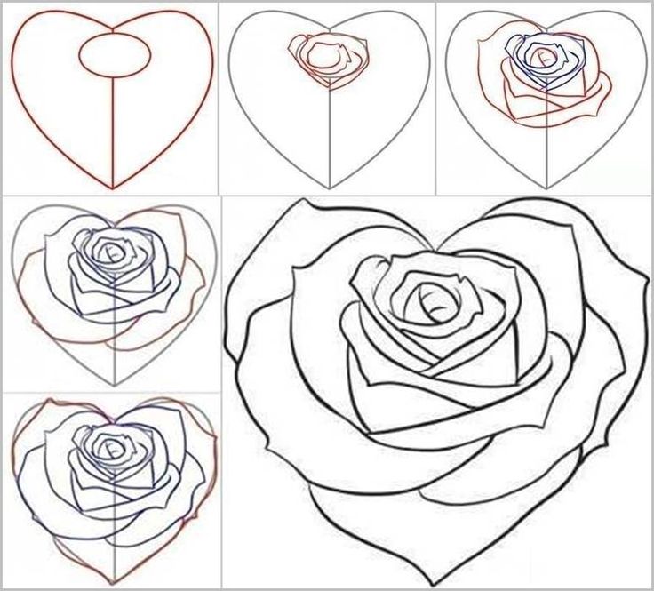 736x665 Pencil Drawings Of Hearts And Roses Gallery Images - Drawing Pictures Of Roses And Hearts