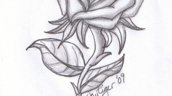 570x320 drawings of roses in pencil pencil sketches of hearts and roses - Drawing Pictures Of Roses And Hearts
