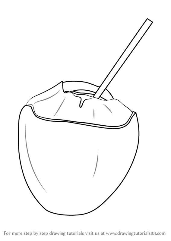 567x800 Learn How To Draw A Coconut With Straw - Drawing Pictures To Draw