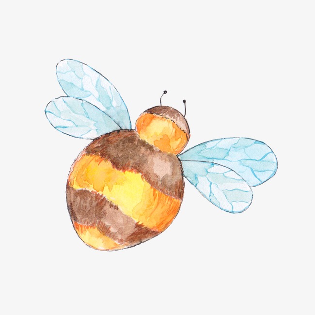 650x650 Drawing Bee, Bee Clipart, Yellow Bee Png Image And Clipart - Drawing Png