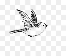 260x220 Drawing Png Images In Collection - Drawing Png