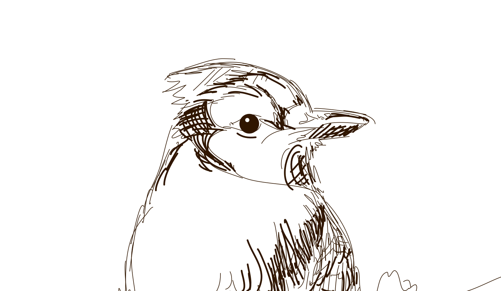 1666x968 Drawing Png Images In Collection - Drawing Png