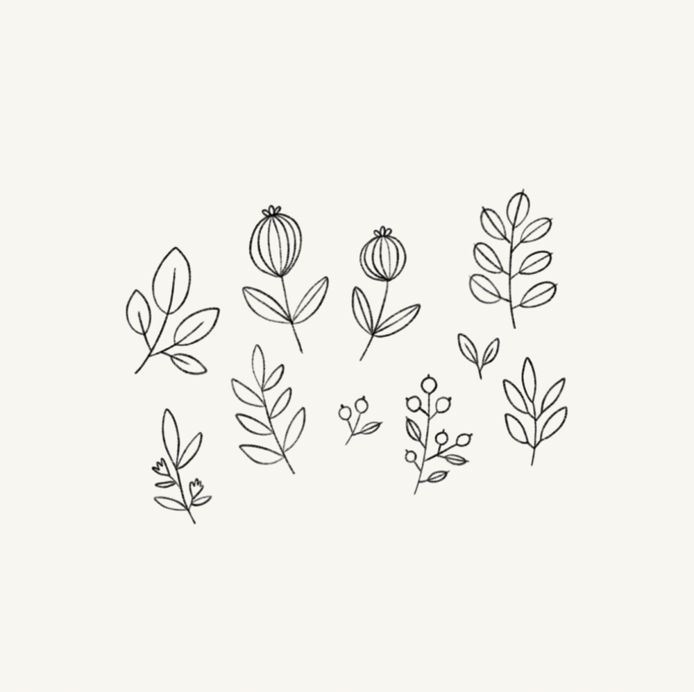 1000x998 Assorted Illustrations Minna May Design Illustration - Drawing Png