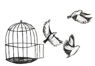 367x254 Png - Drawing Png