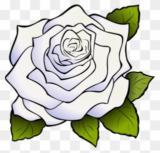320x305 Download White Rose Png Clipart Clip Art Drawing Flower - Drawing Png