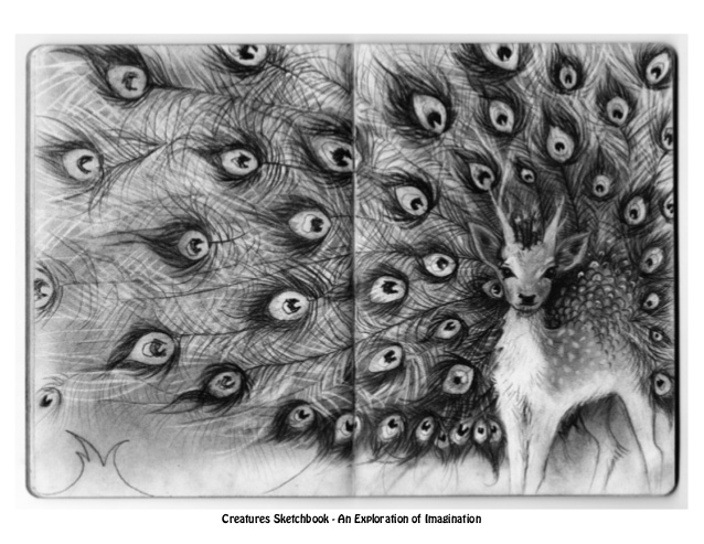 638x493 charcoal drawing portfolio - Drawing Portfolio