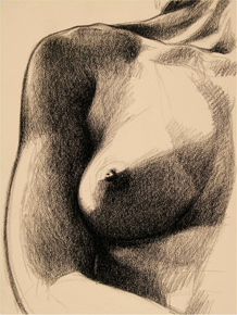 218x290 Drawings - Drawing Portfolio